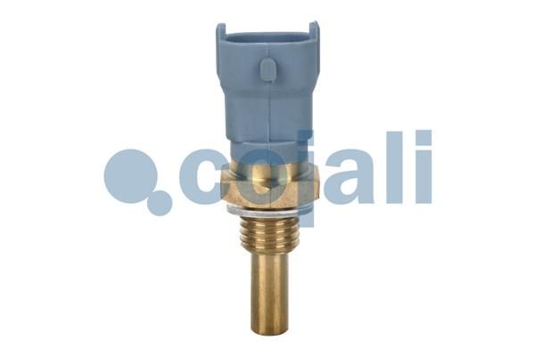 Kühlmitteltemperatursensor