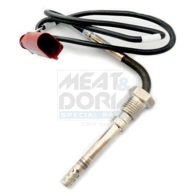 Sensor Abgastemperatur