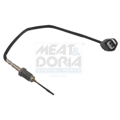 Sensor Abgastemperatur