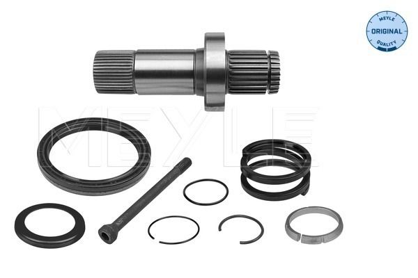 Steckwelle Differential