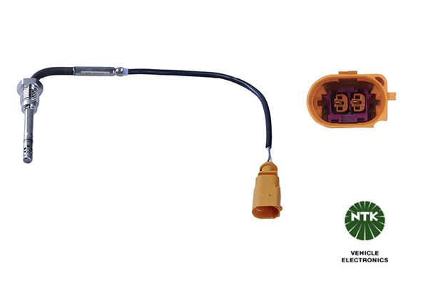 Sensor Abgastemperatur
