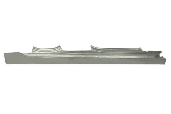 Einstiegsblech Schweller
