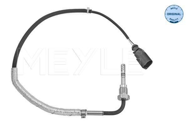 Sensor Abgastemperatur