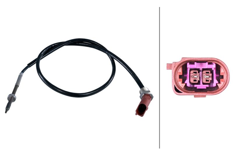 Sensor Abgastemperatur