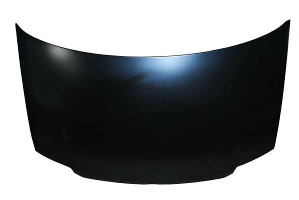 Motorhaube Haube