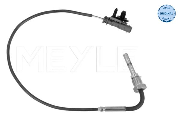 Sensor Abgastemperatur