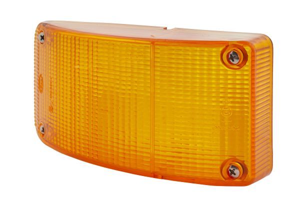Lichtscheibe Blinker Blinkleuchte