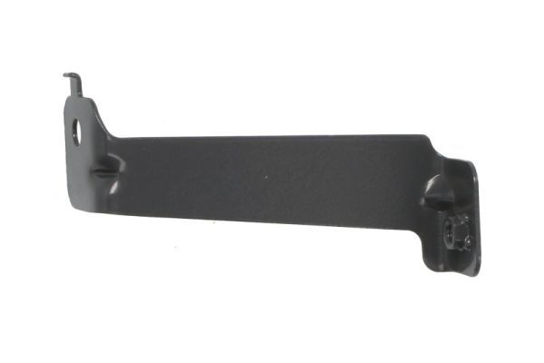 Halter Trittbrett