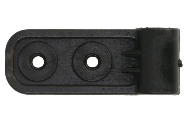 Halter Trittbrett