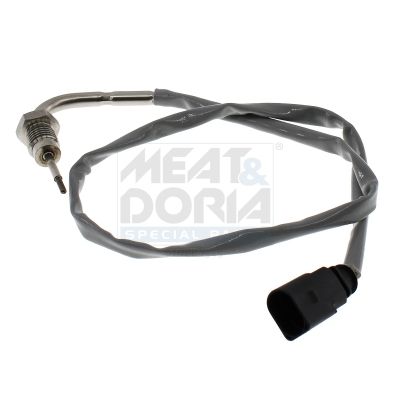 Sensor Abgastemperatur
