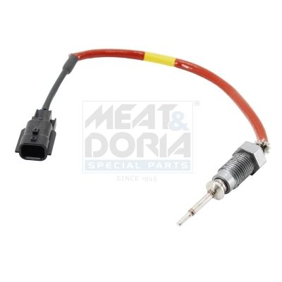 Sensor Abgastemperatur