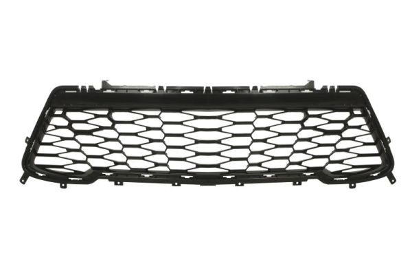 Stoßstange Gitter