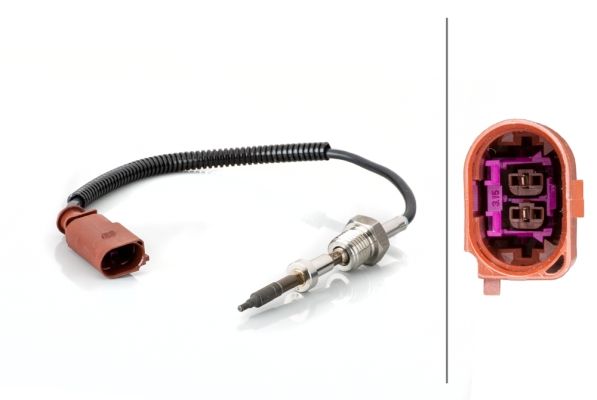 Abgastemperatursensor