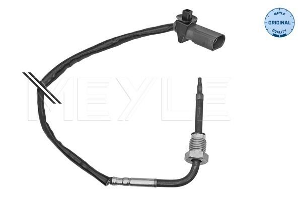 Sensor Abgastemperatur