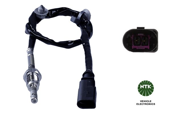 Sensor Abgastemperatur