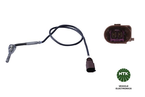 Sensor Abgastemperatur