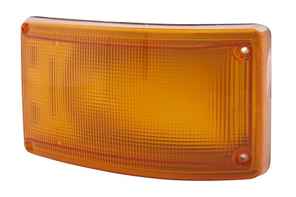 Blinker Blinkleuchte