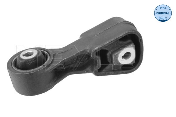Halter Motoraufhängung