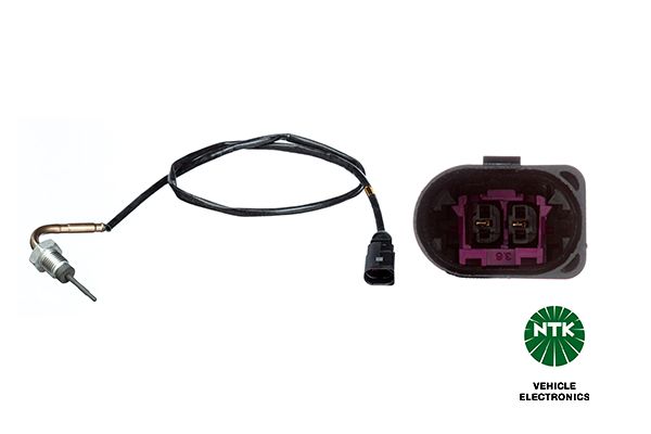 Sensor Abgastemperatur