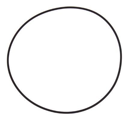 Dichtung Dichtring