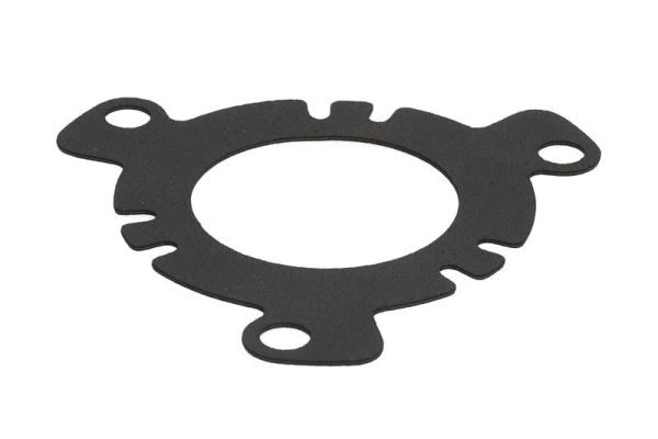 Dichtung Einspritzpumpe
