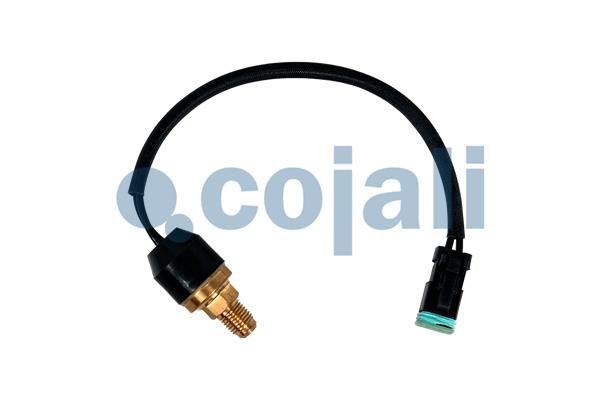 Sensor