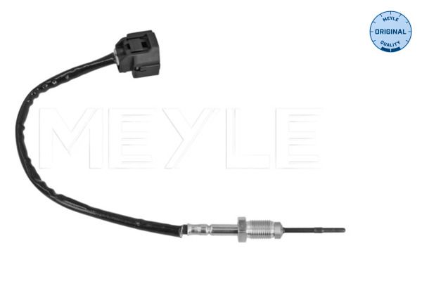Sensor Abgastemperatur