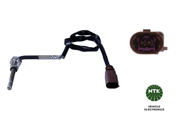 Sensor Abgastemperatur