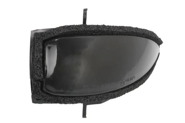 Blinker Blinkleuchte