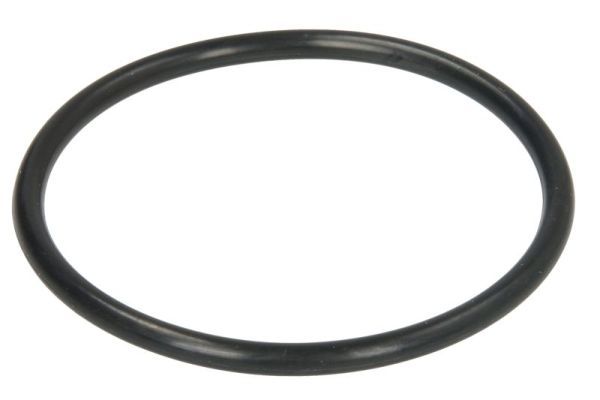 Dichtung Thermostat