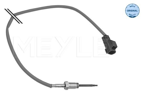 Sensor Abgastemperatur
