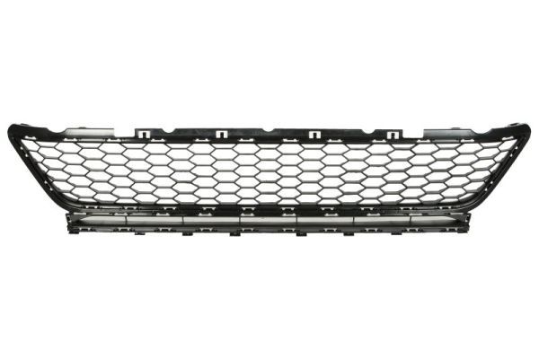 Stoßstange Gitter