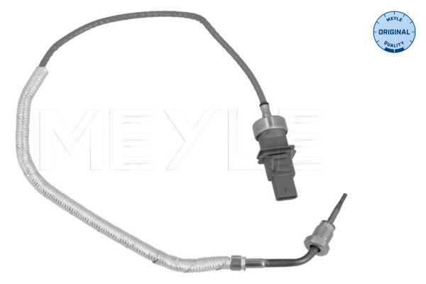 Sensor Abgastemperatur