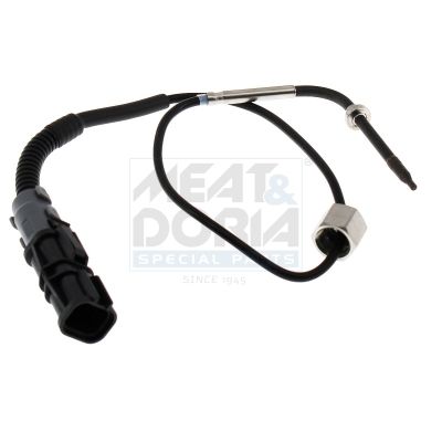 Sensor Abgastemperatur