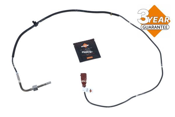 Sensor Abgastemperatur