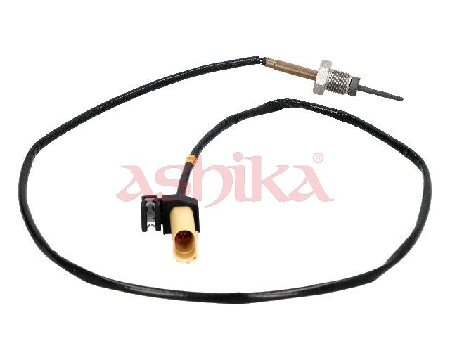 Sensor Abgastemperatur