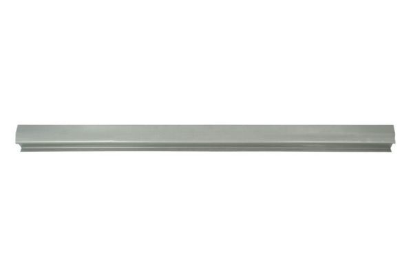 Einstiegsblech Schweller