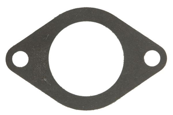 Dichtung Thermostat