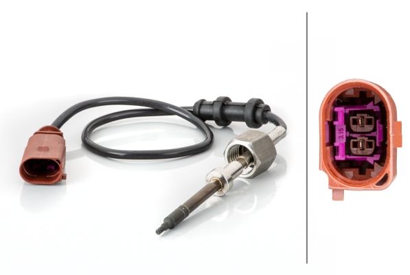 Sensor Abgastemperatur