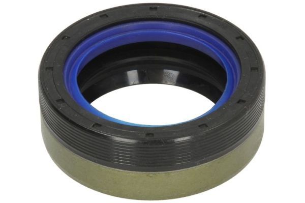 Dichtung Differential