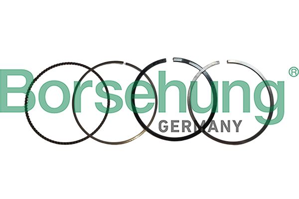 Kolbenring Satz Kolbenringe