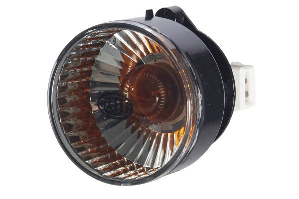 Blinker Blinkleuchte