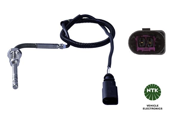 Sensor Abgastemperatur