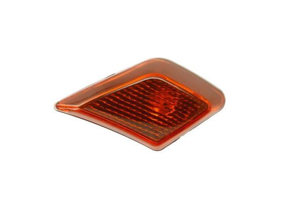 Blinker Blinkleuchte