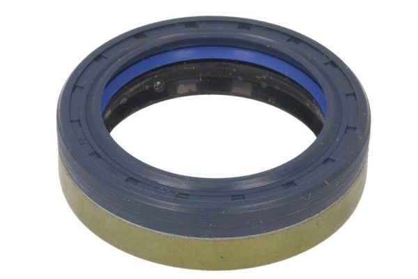 Wellen Dichtring Differential