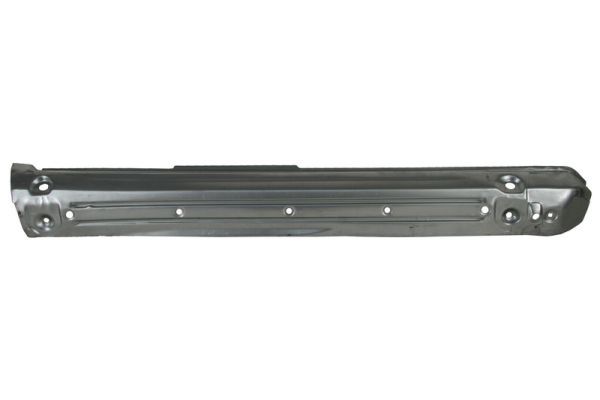 Einstiegsblech Schweller