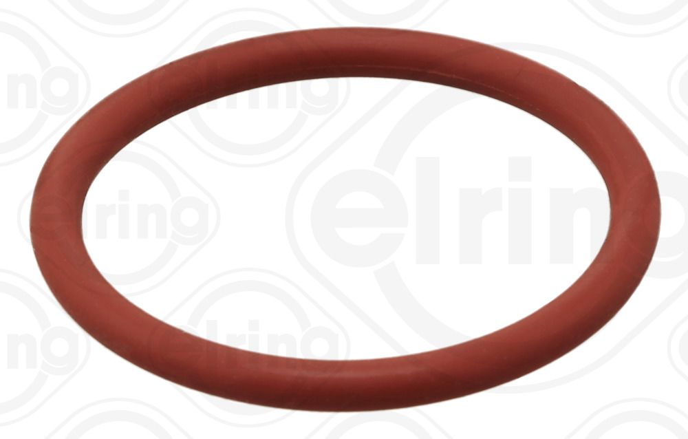 Dichtung Dichtring