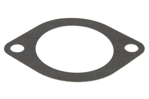 Dichtung Thermostat
