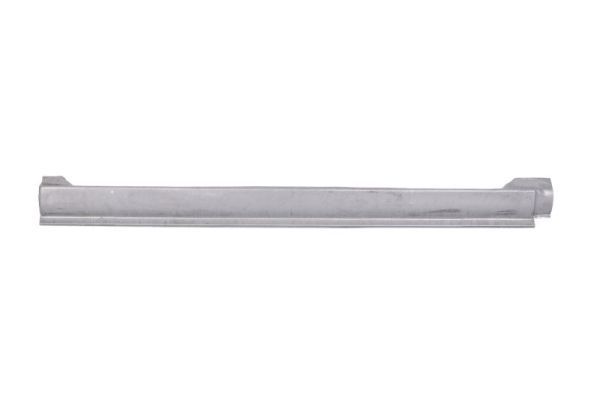 Einstiegsblech Schweller