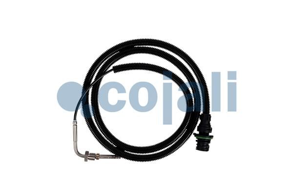 Sensor Abgastemperatur
